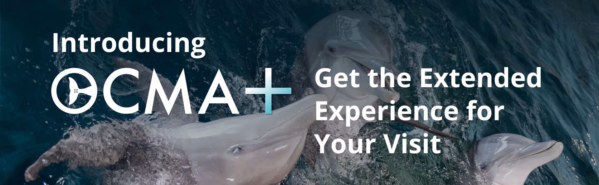 CMA+ Hero Image