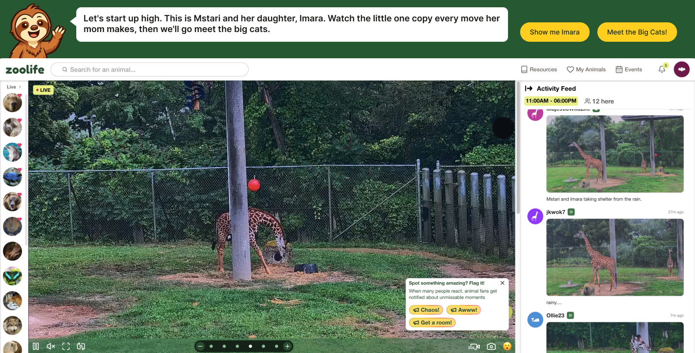 An image of butterflies and on the side a zookeeper is explaining something