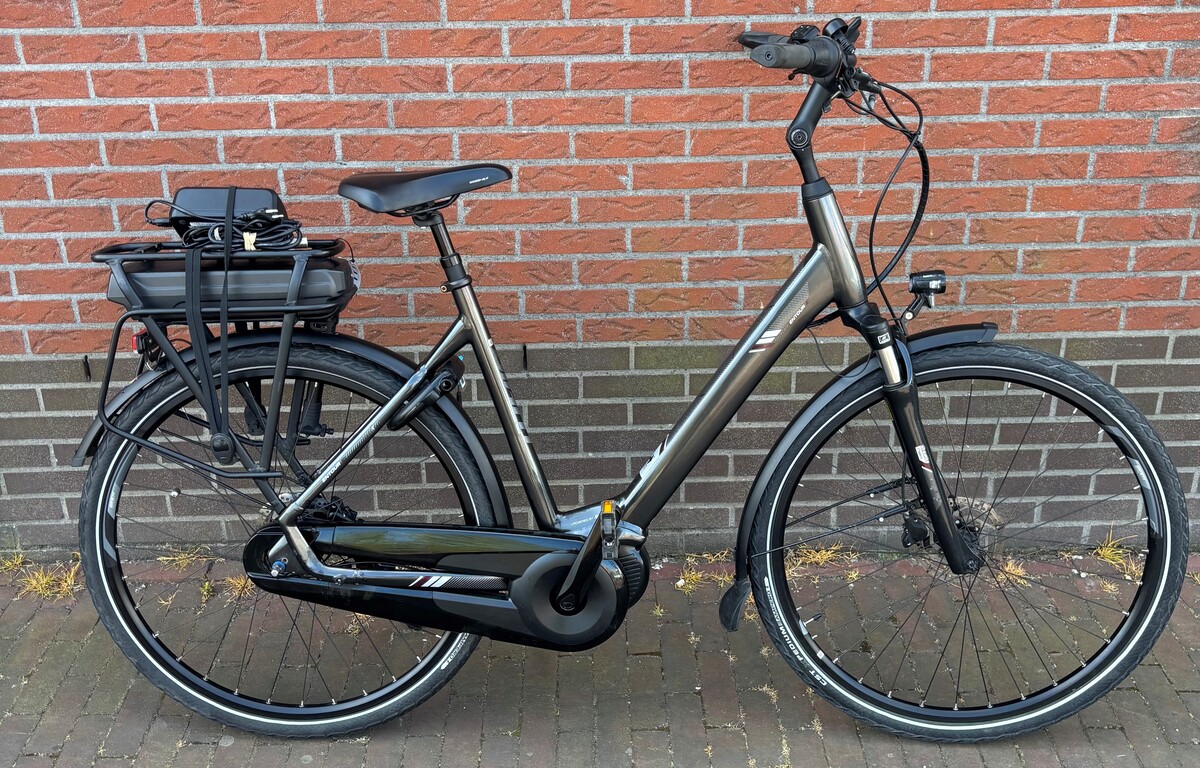 Giant Entour E-Bike