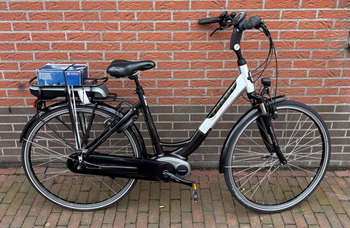 Giant Eleganz E-Bike