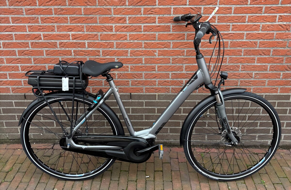 Giant Entour E-Bike