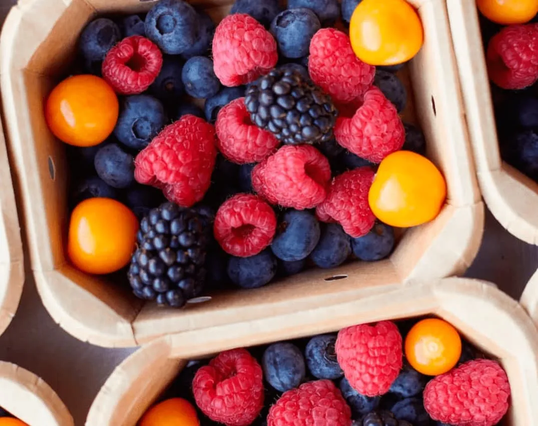 Solaranlage Ingenieur