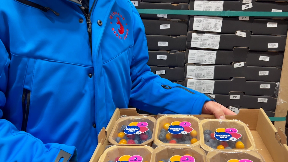 Solar system engineer