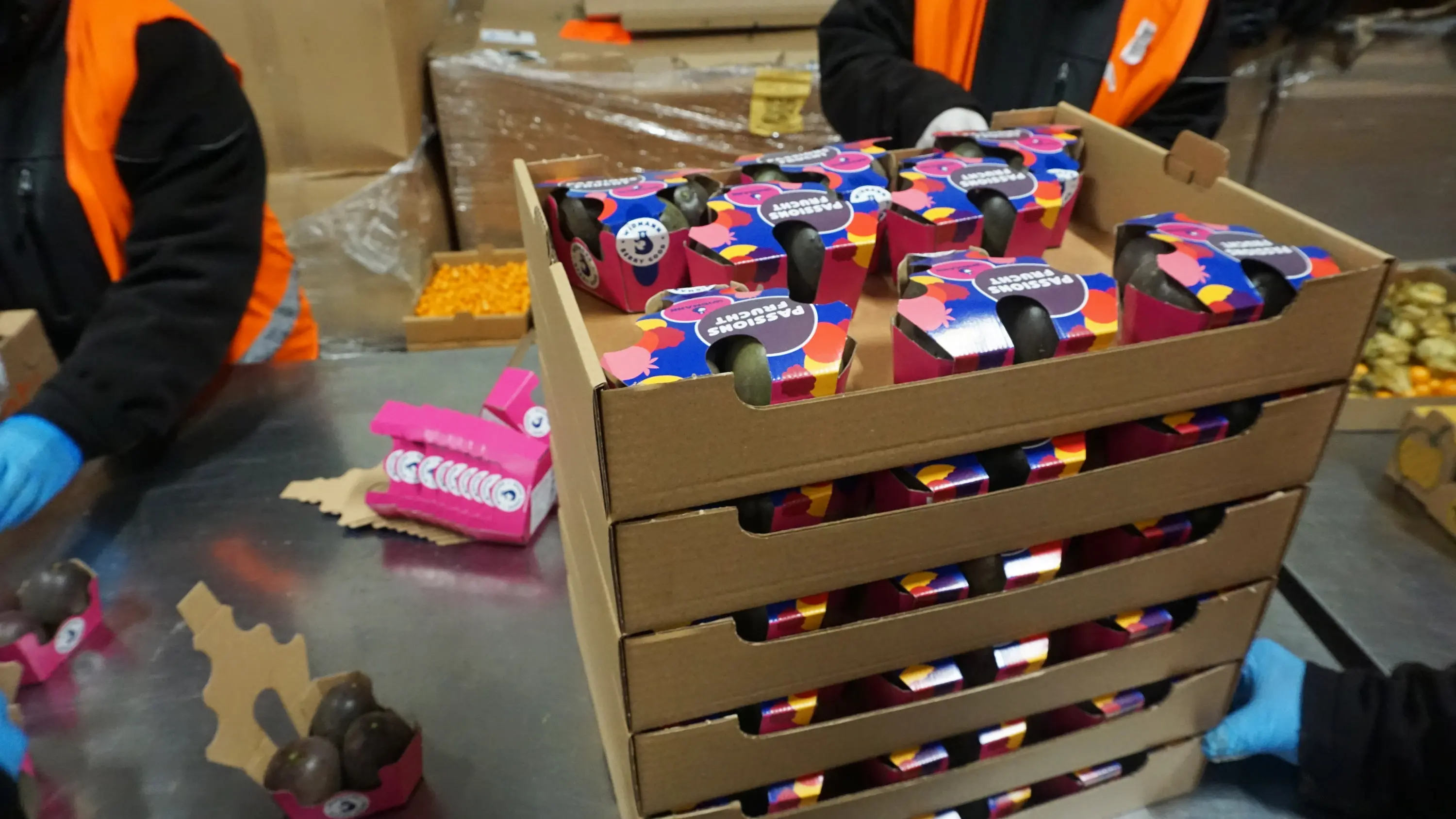 Enpal Solarnalage Installation