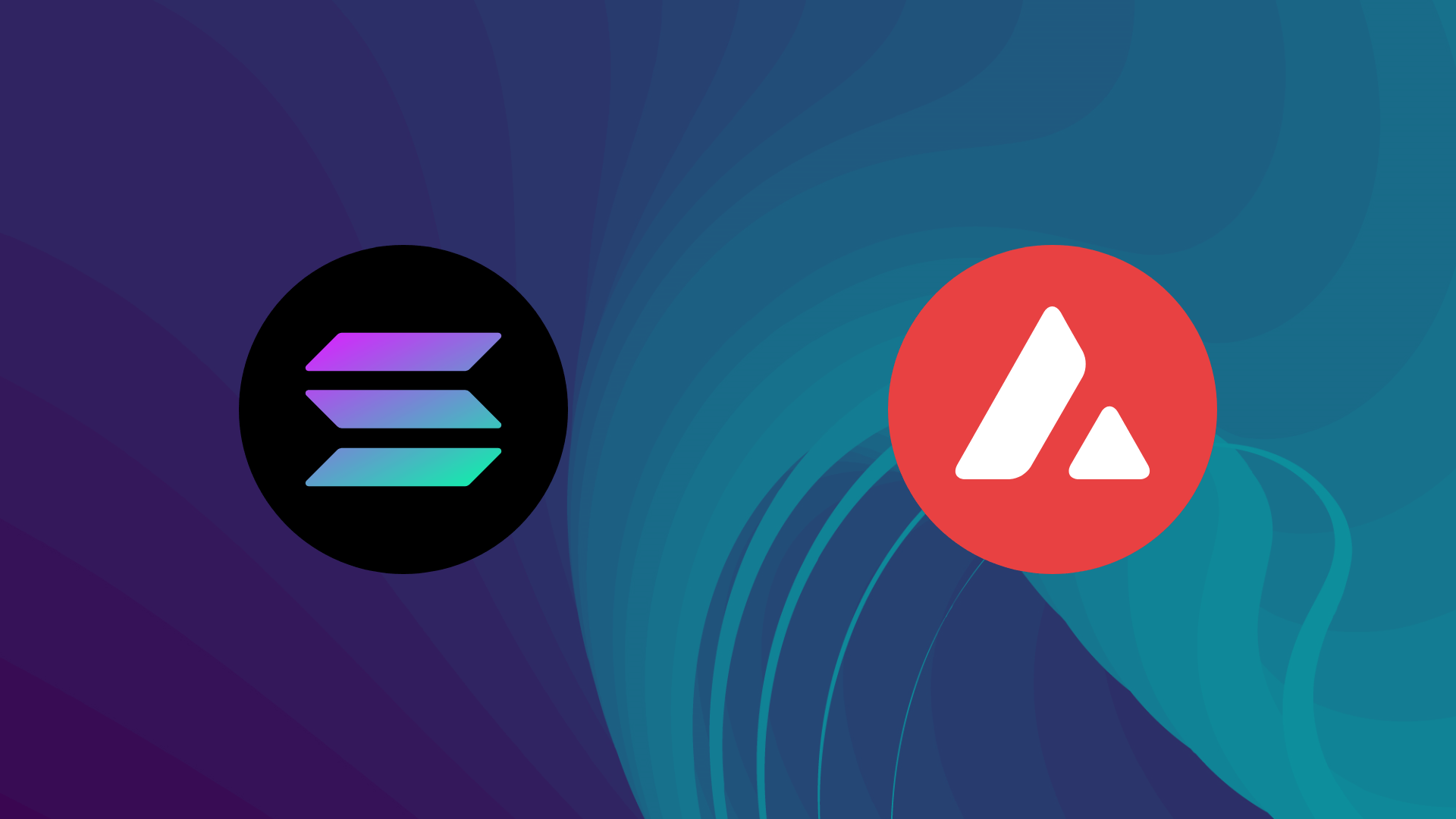 Spydra Blog | Avalanche and Solana: Quick Comparison