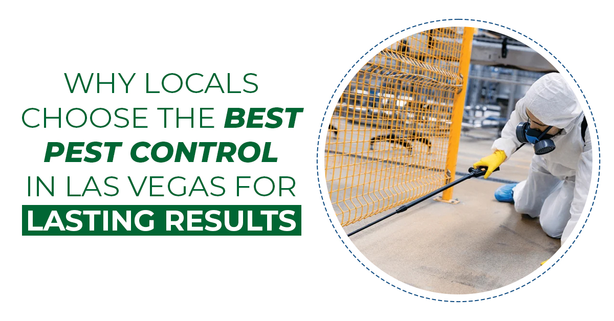 Why Locals Choose the Best Pest Control in Las Vegas for Lasting Results