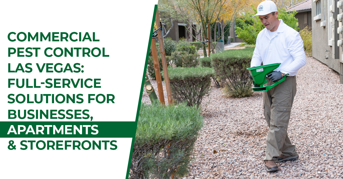 Commercial Pest Control Las Vegas: Full-Service Solutions for Businesses, Apartments & Storefronts