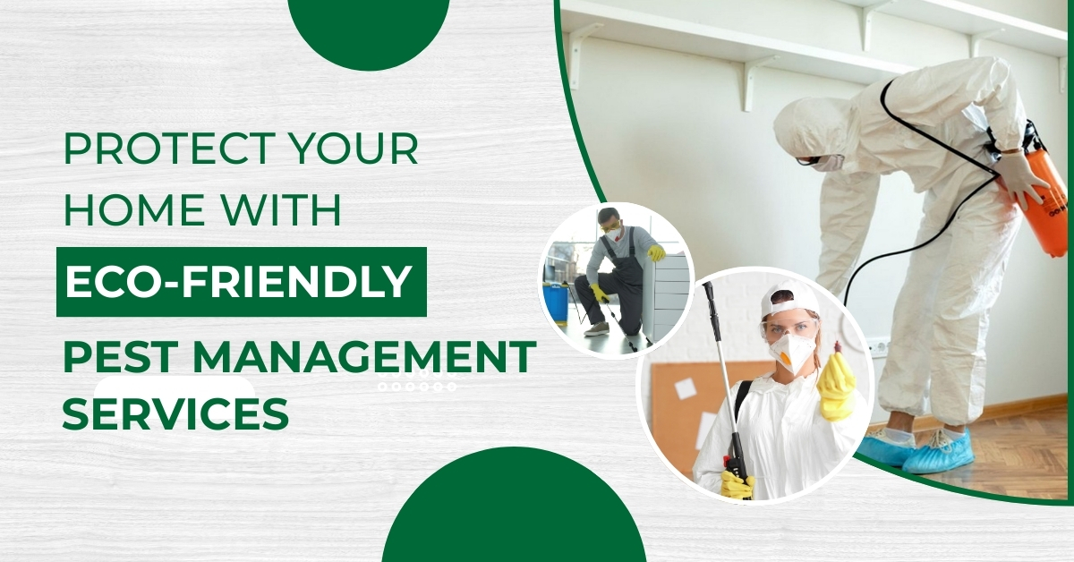 Protect Your Home with Eco-Friendly Pest Management Services