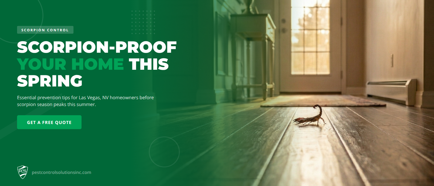 Scorpion Control in Las Vegas, NV: How to Scorpion-Proof Your Home Before Summer