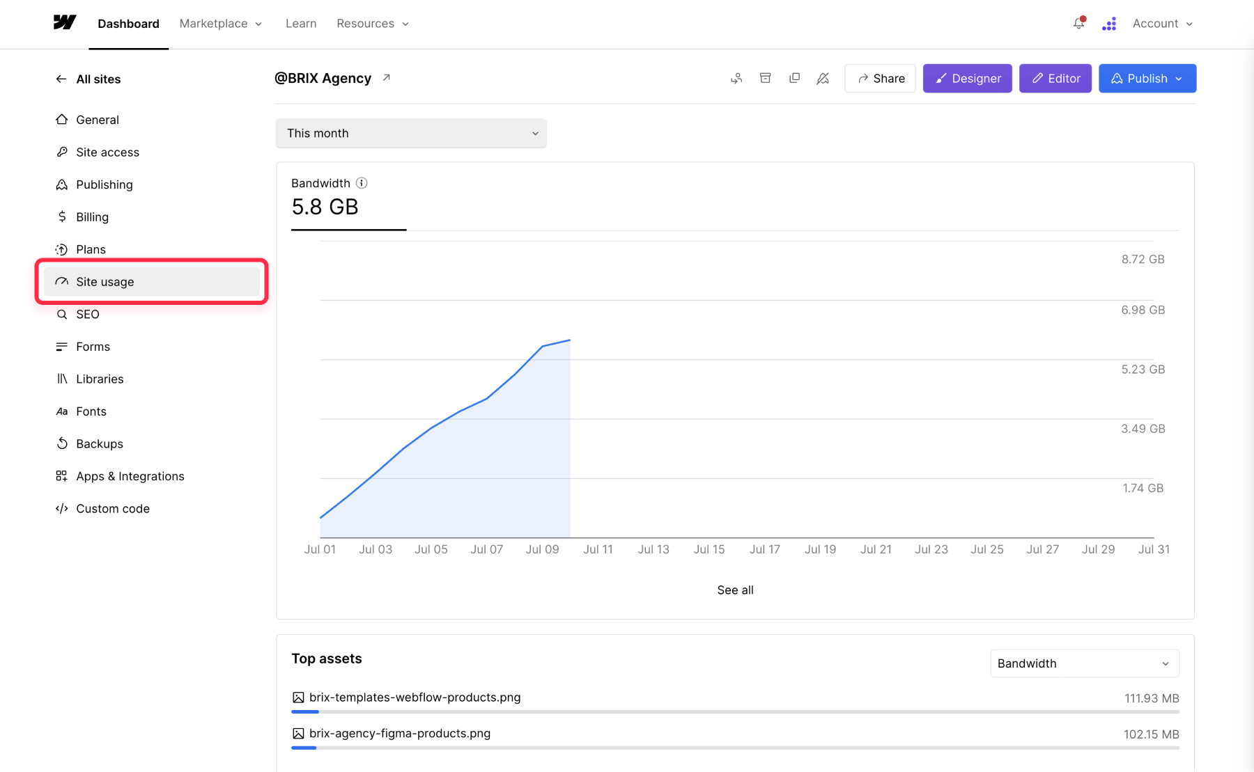 Analyze Webflow bandwidth usage with Site Usage