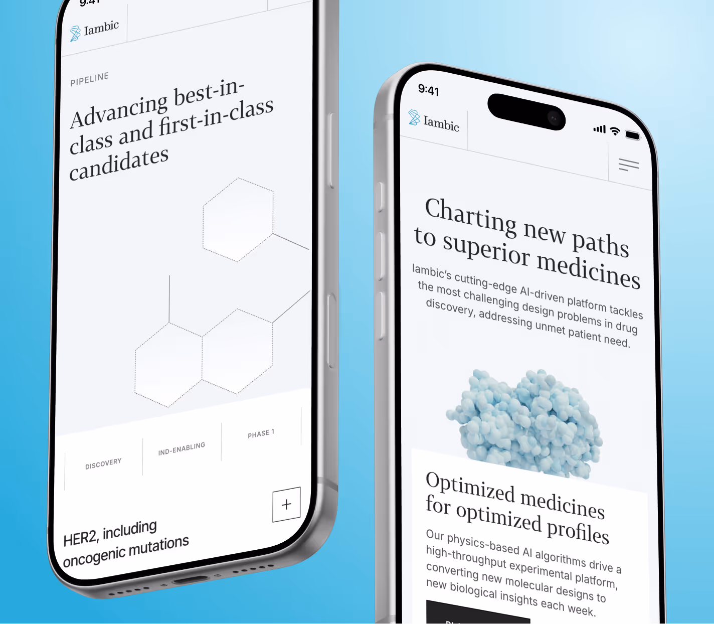 Iambic Portfolio Featured Image