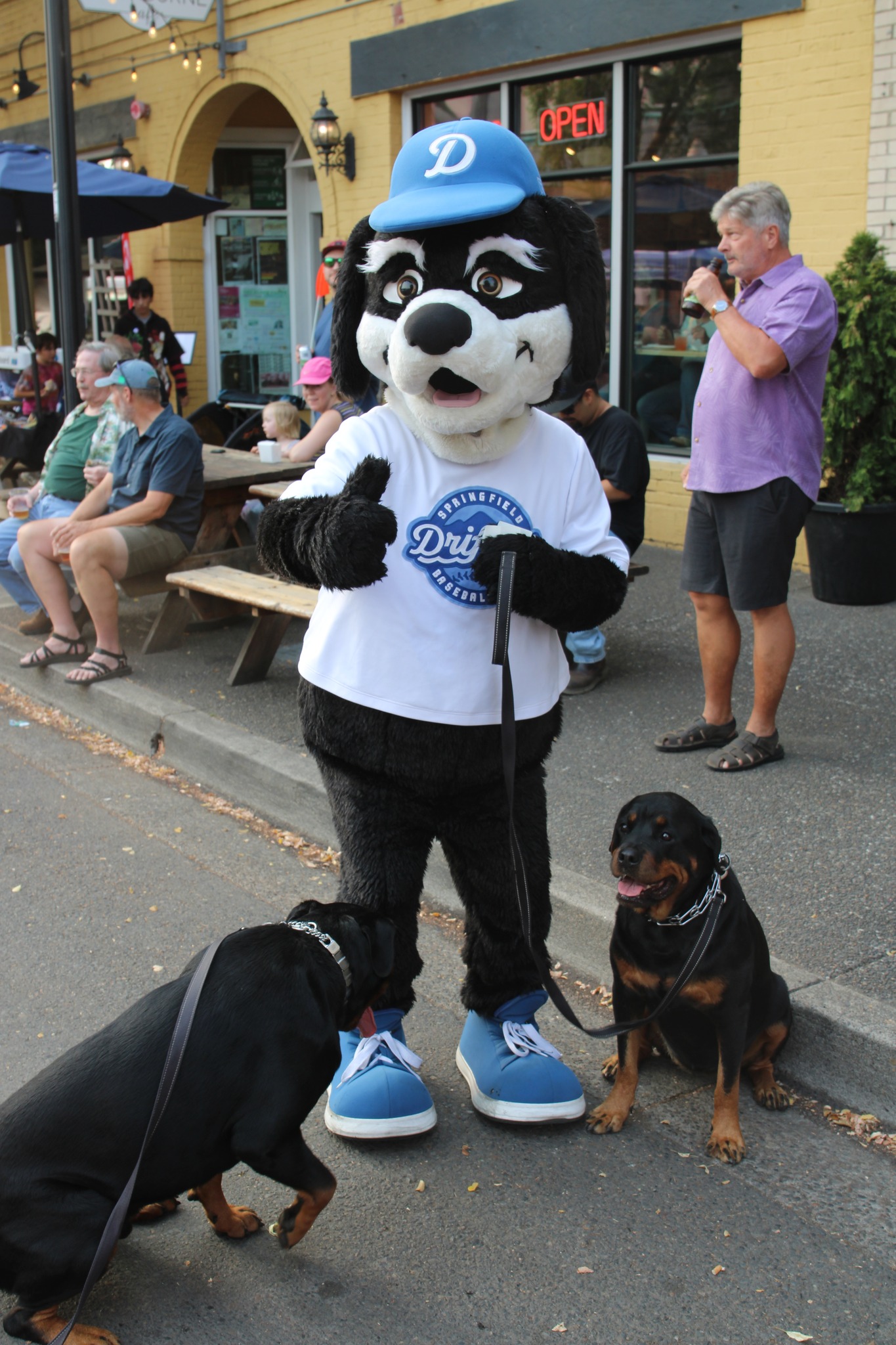 Rapid the Dog from Springfield Drifters at The Block Party 2025