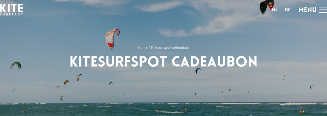 Various kites in the air above the sea at Scheveningen