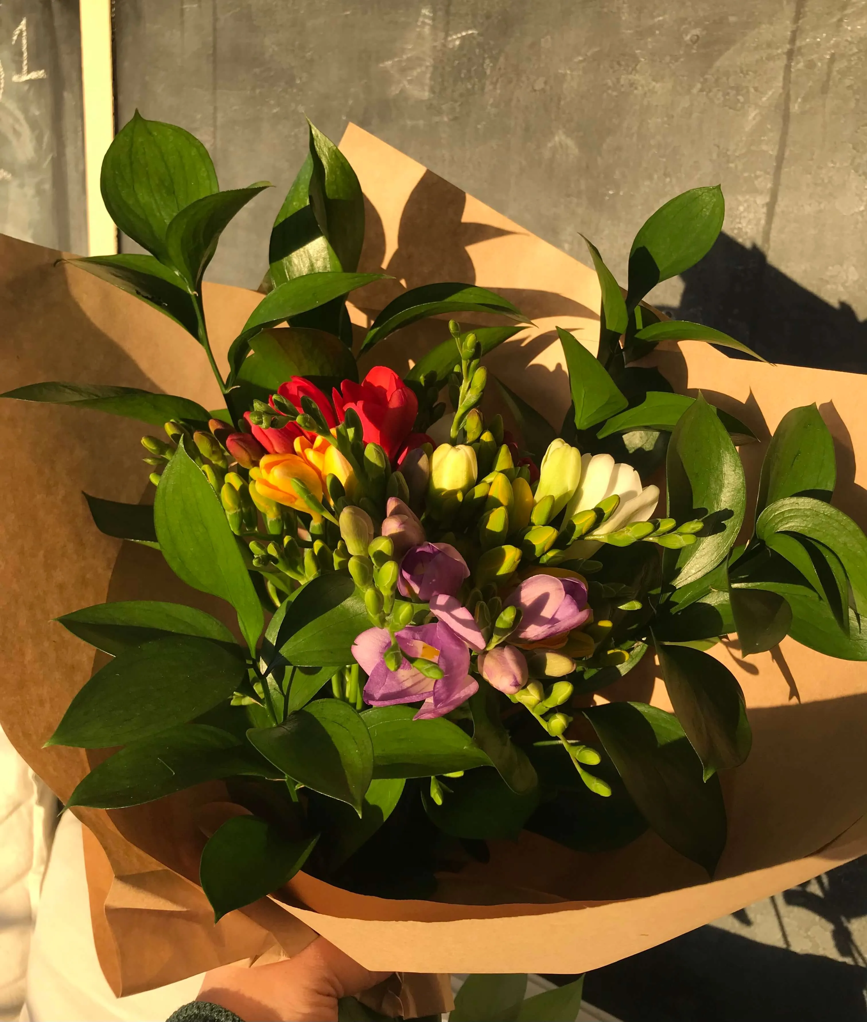 Freesias
