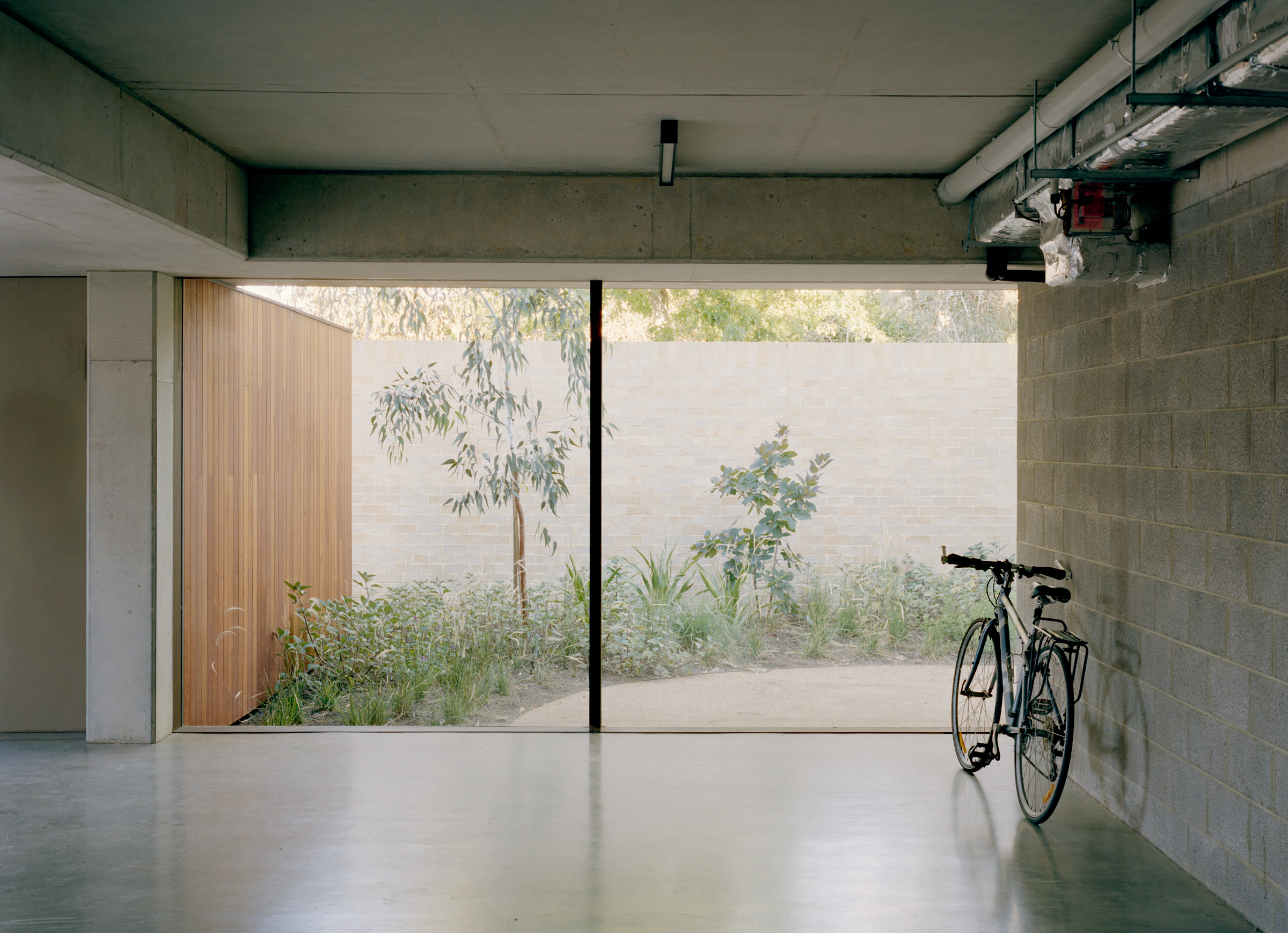 Garage glazing overlooking a planted lightwell at Ora House.