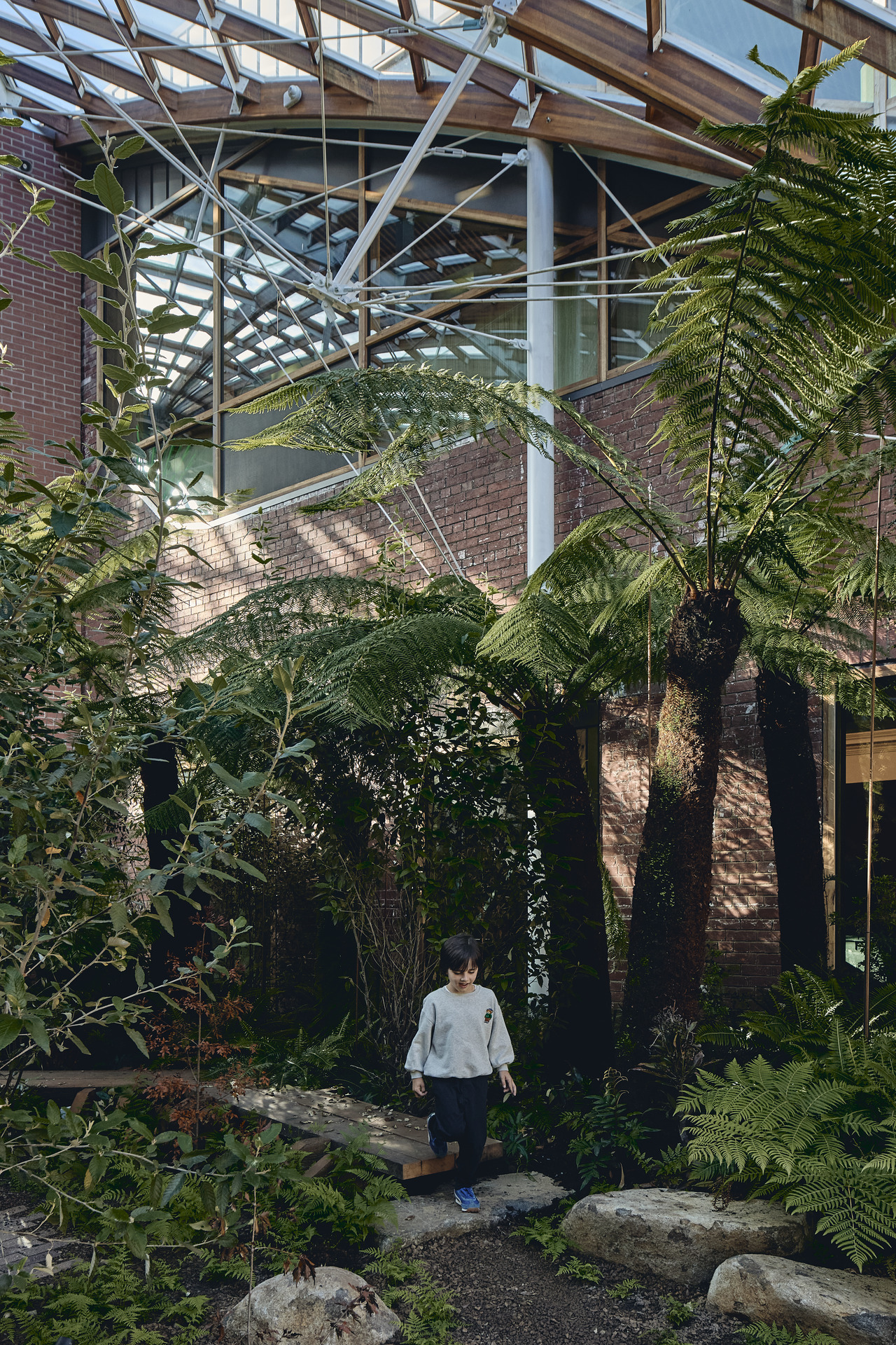 A person walking among tree ferns beneath the glazed atrium roof.