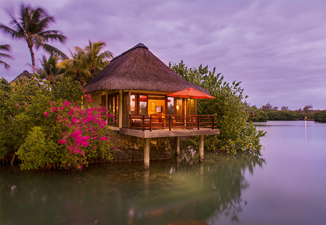 Junior Suite on Stilts