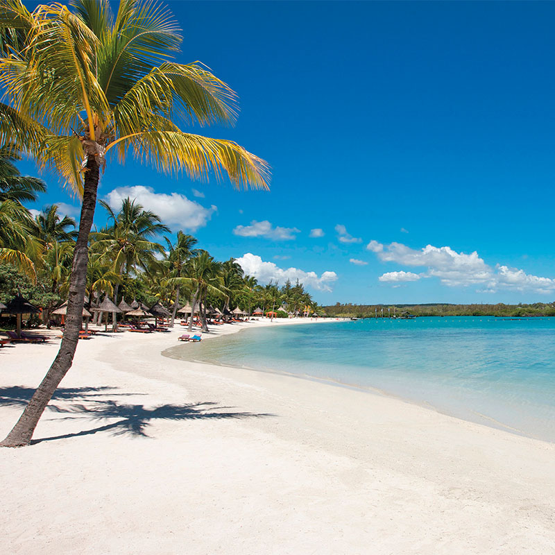 the beautiful beach