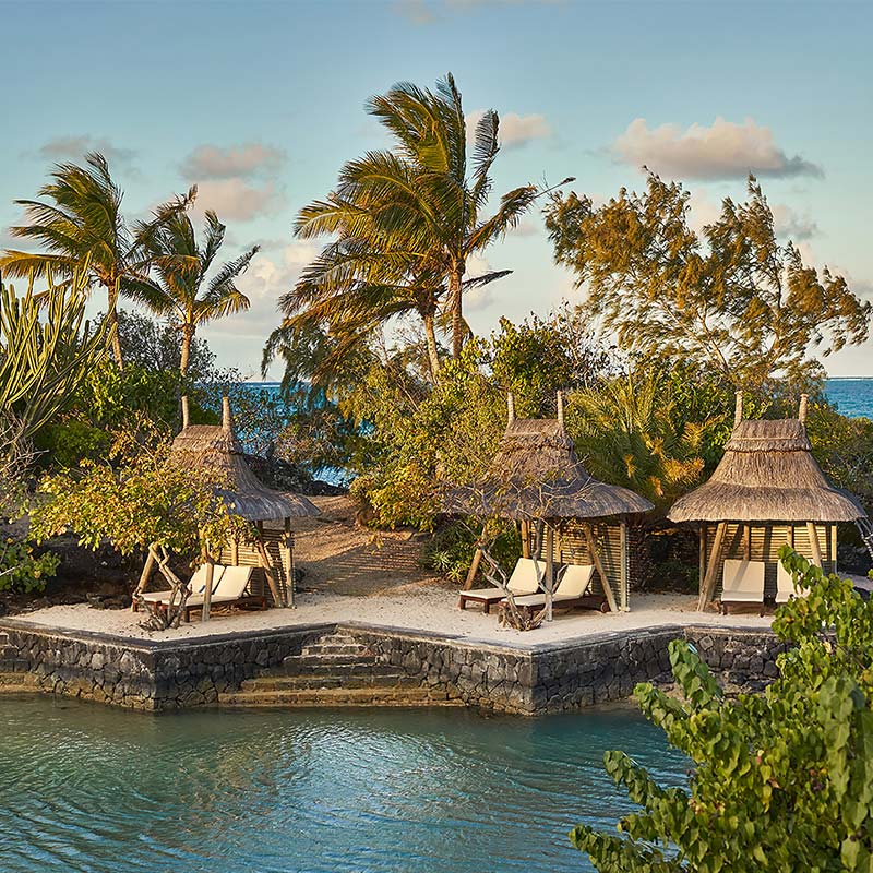Love nests along the beach