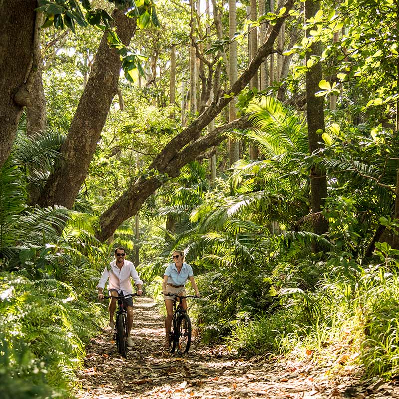 Mountain biking through the forest