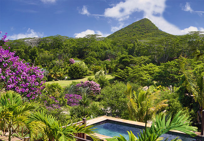 Mountain Garden Pool Suite
