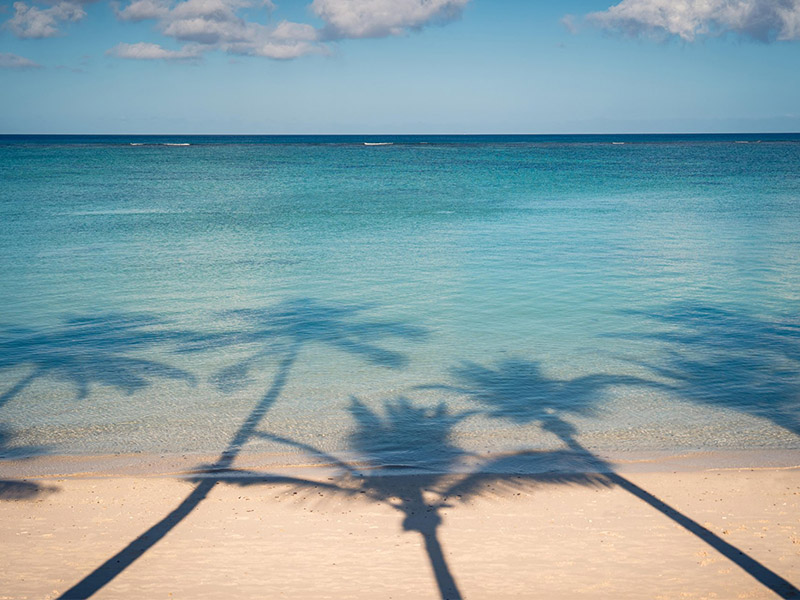 Palm tree shadows on the beach and turquoise lagoon