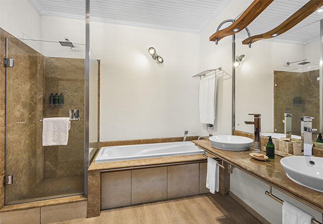 Tropical Room bathroom