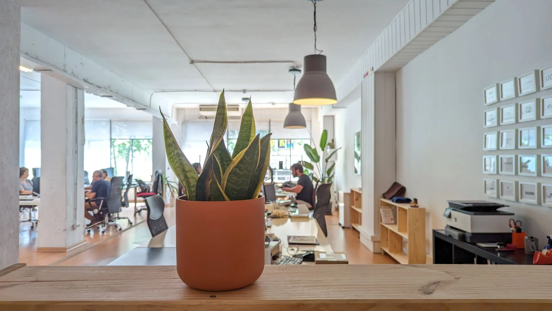 Planta en maceta marrón sobre un estante de madera en una oficina moderna con personas trabajando y lámparas colgantes.