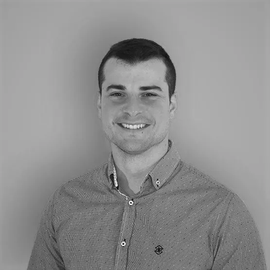Alex Domínguez Blanco, Programador