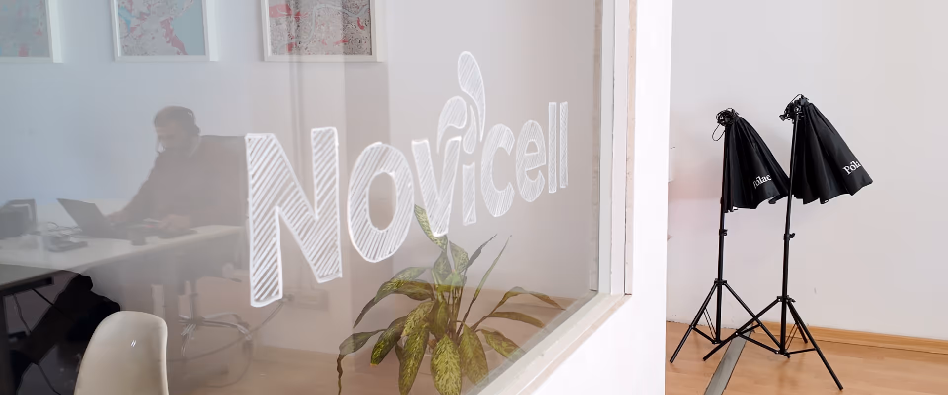 Oficina moderna con un hombre trabajando en una laptop detrás de una pared de vidrio con el logo de Novicell y dos luces de estudio negras con trípodes.