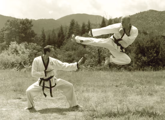 High_Flying_Jump_Kicks_ATO - Bert van Lith