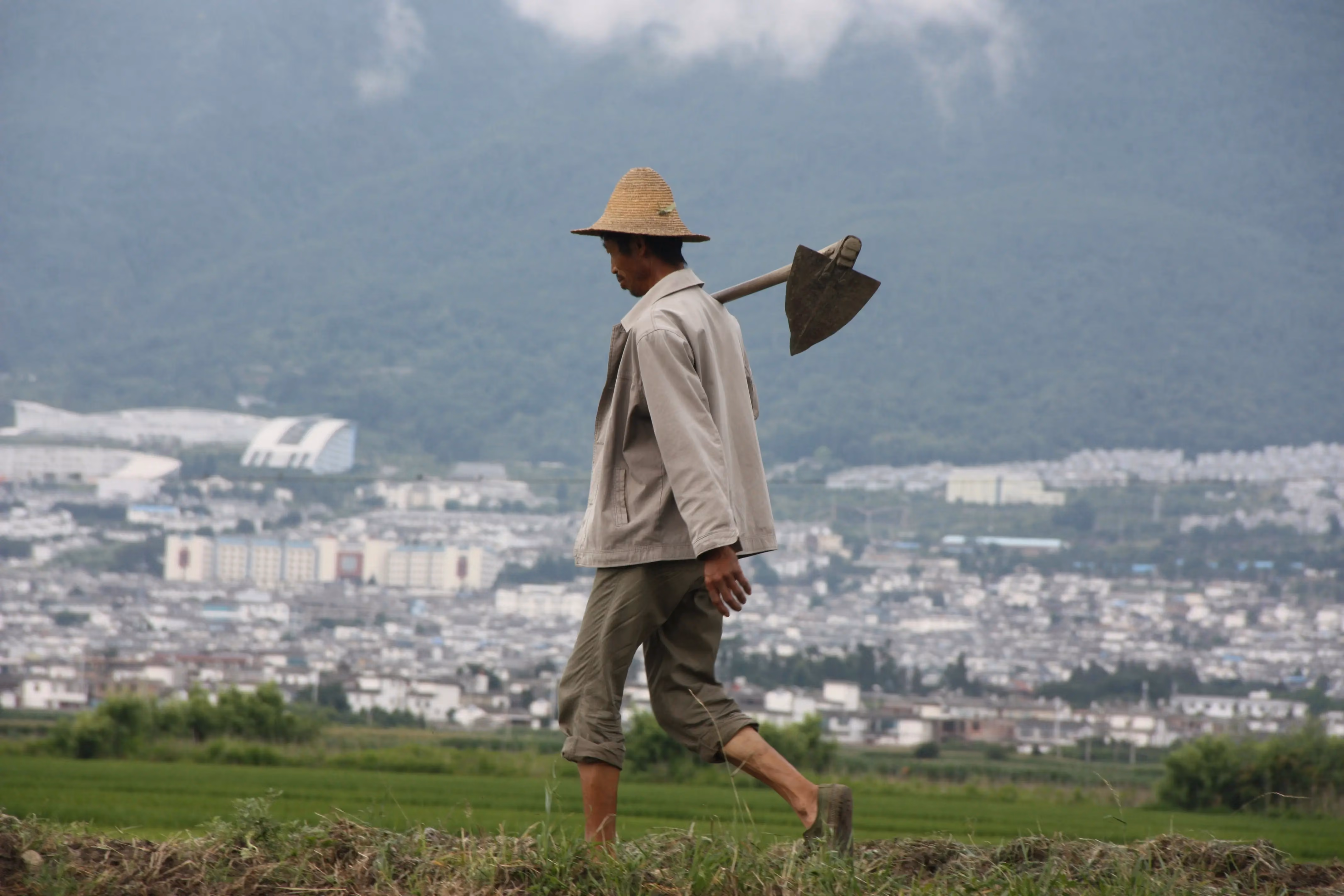 A japanese farmer carrying tools across a field