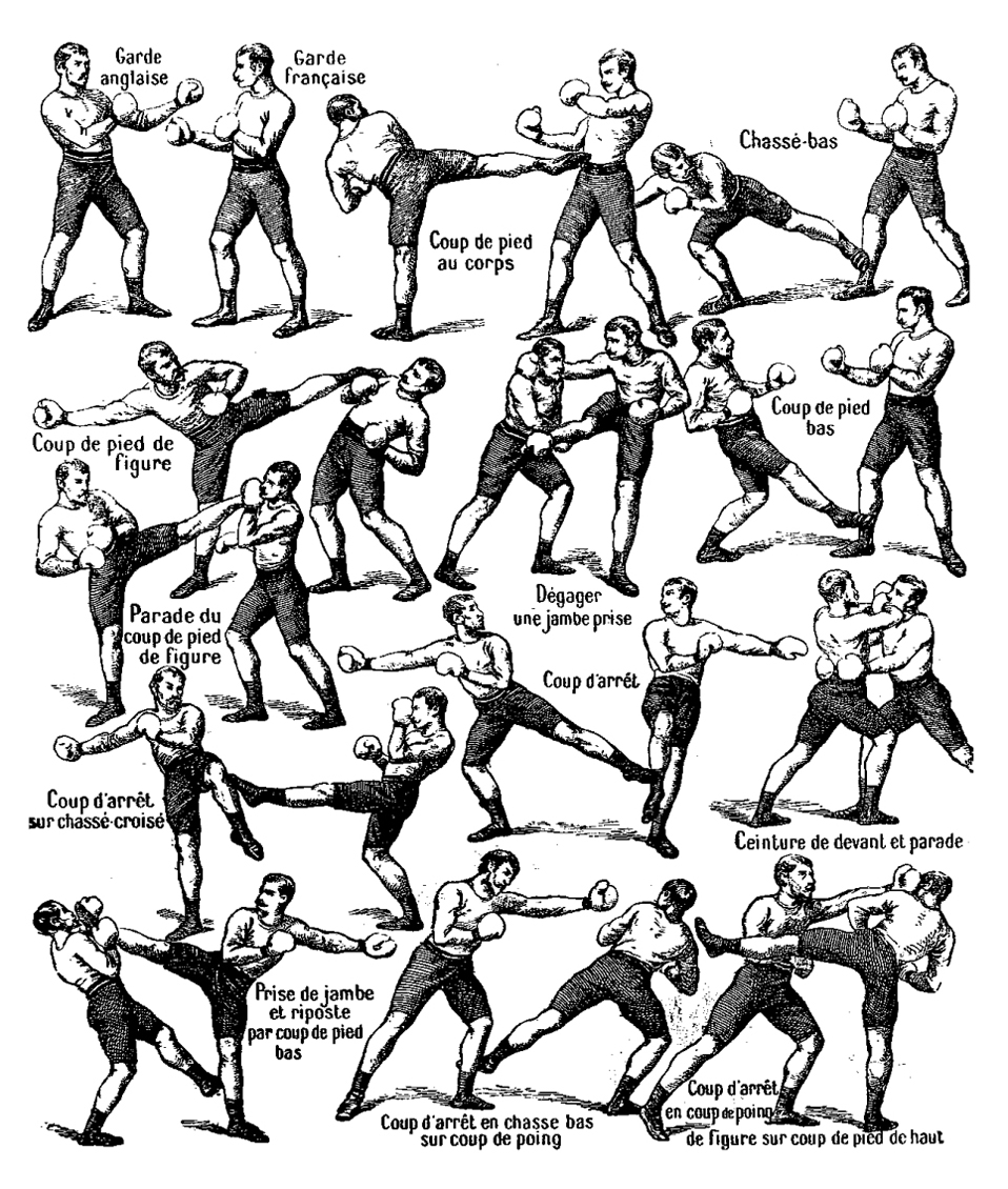 Savate Techniques