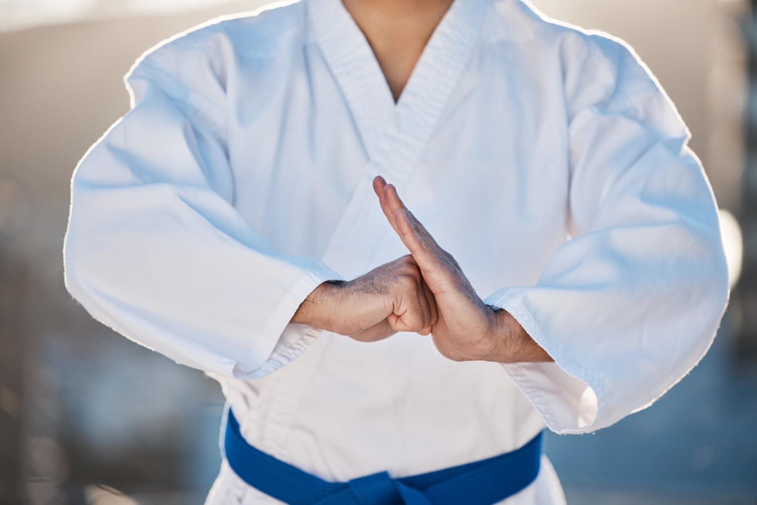 Gi wearing martial artist in a pose of respect