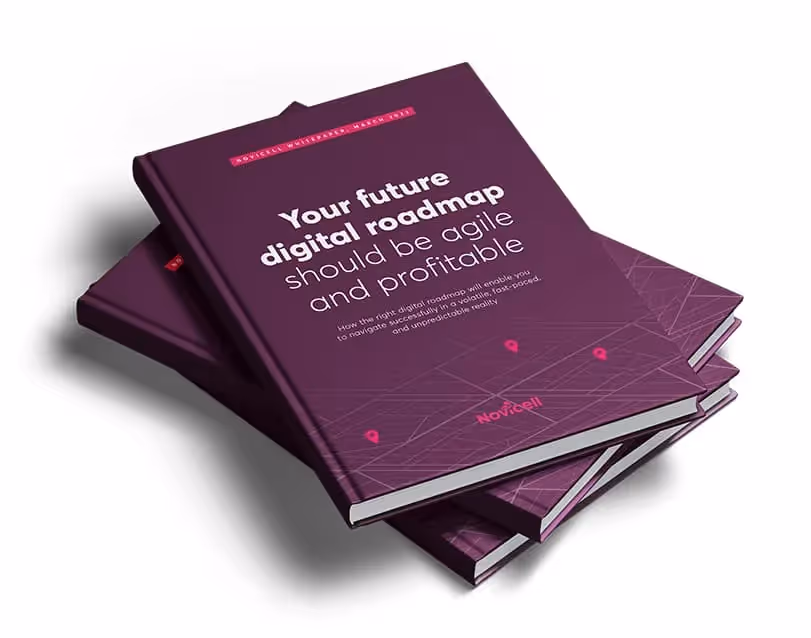 How to make an agile and cost-effective digital roadmap