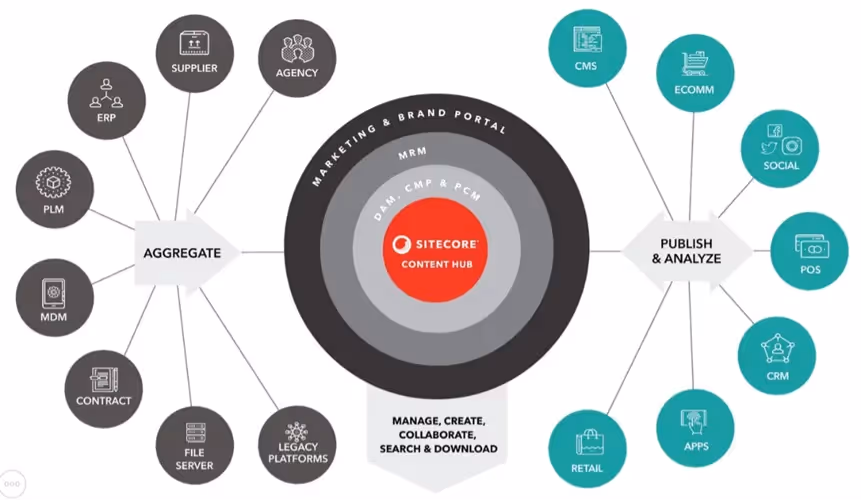 Sitecore Content Hub