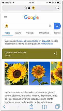 Buscar emojis en el buscador de Google