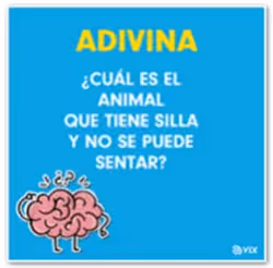 adivinanzas en redes sociales