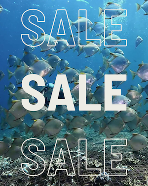A SALE poster, with a school of fish siwmming in the background.