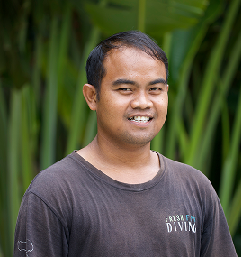 Komang