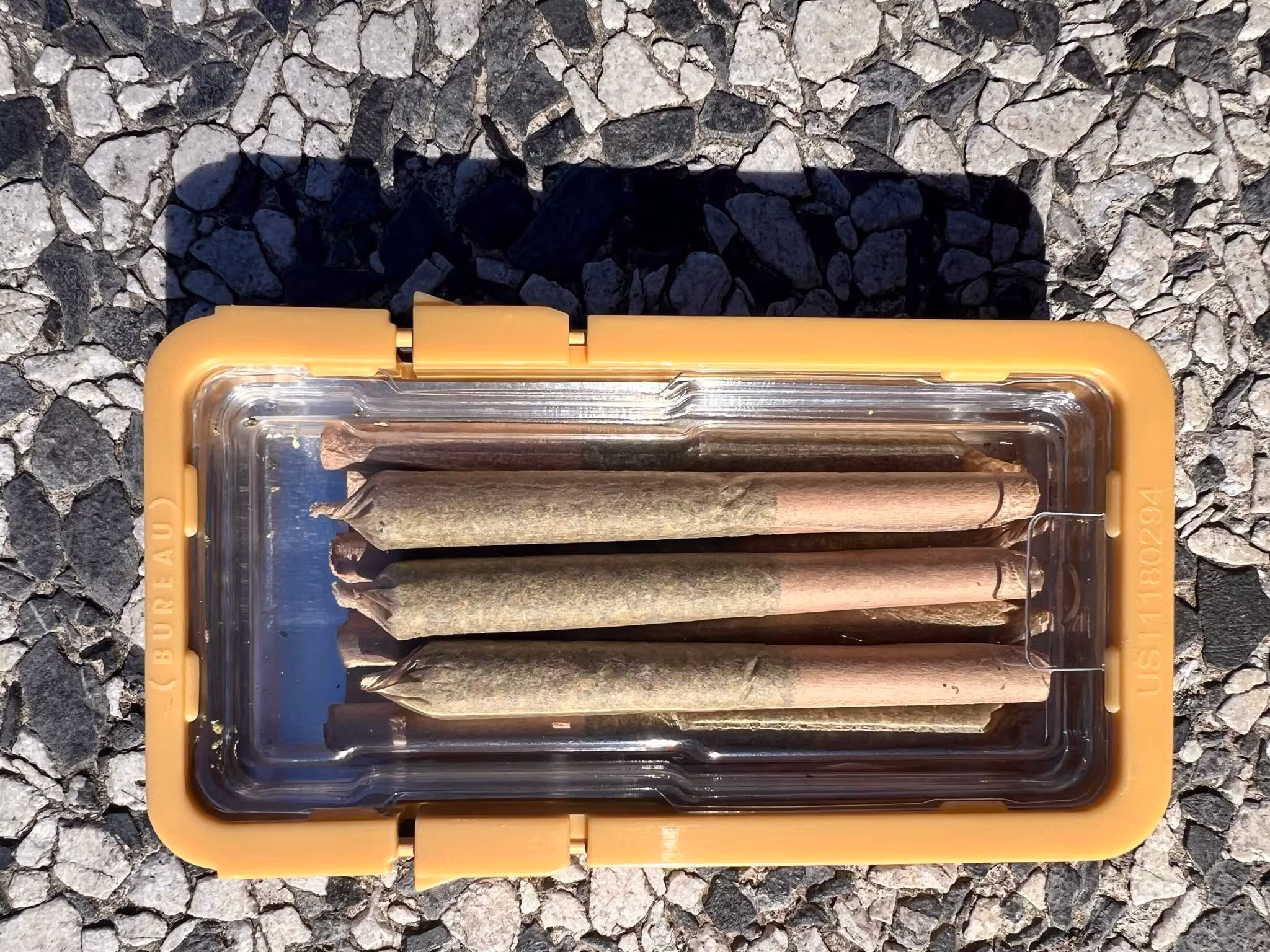 Woody Nelson pre rolls