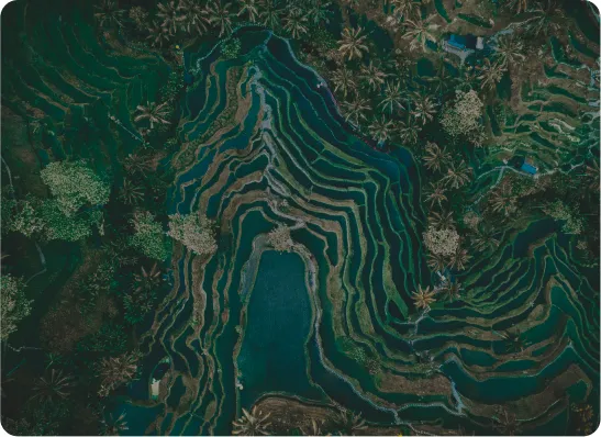 Illustration RAISE Impact
