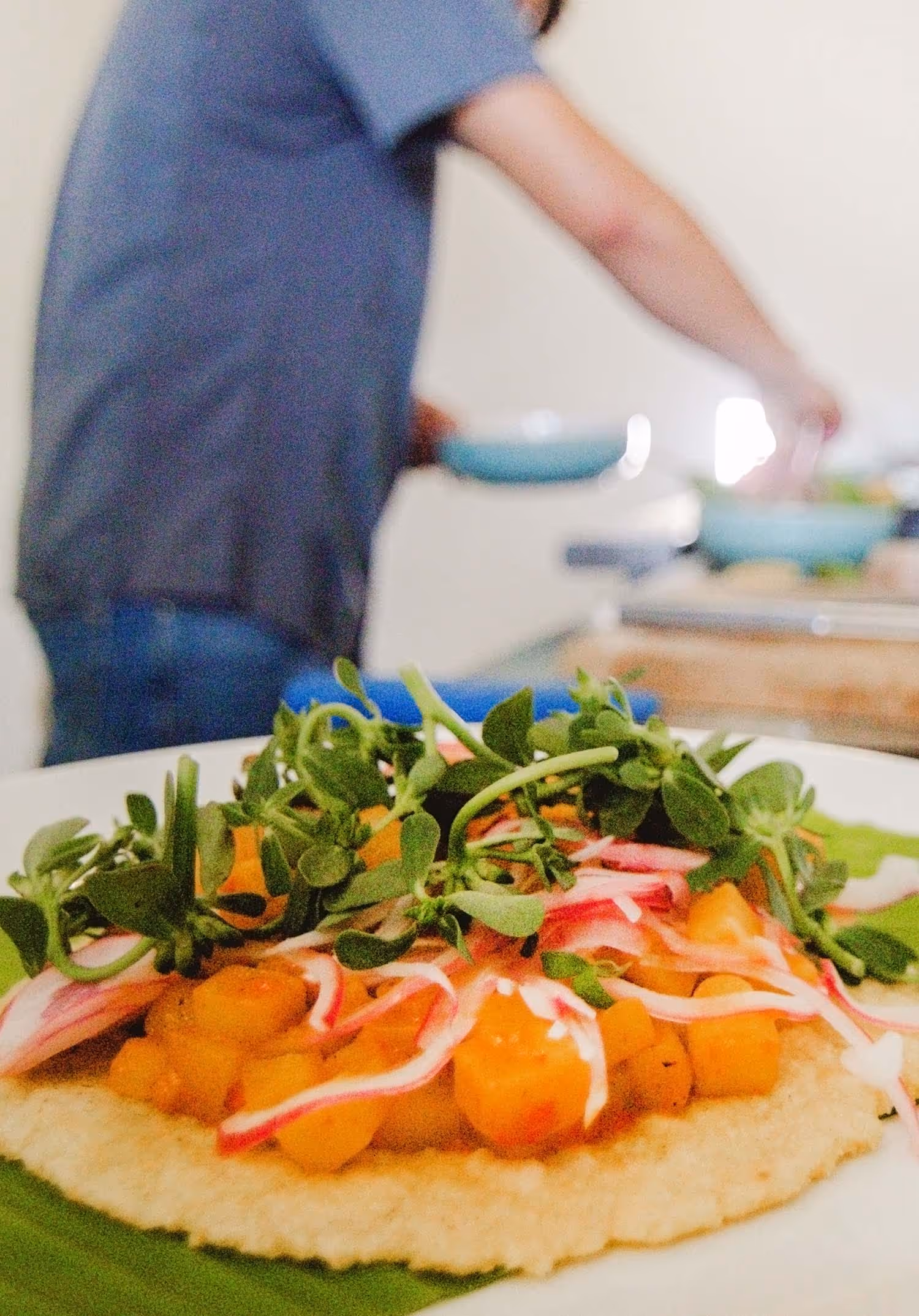 Beautiful plated food by head chef Daniel Blanco