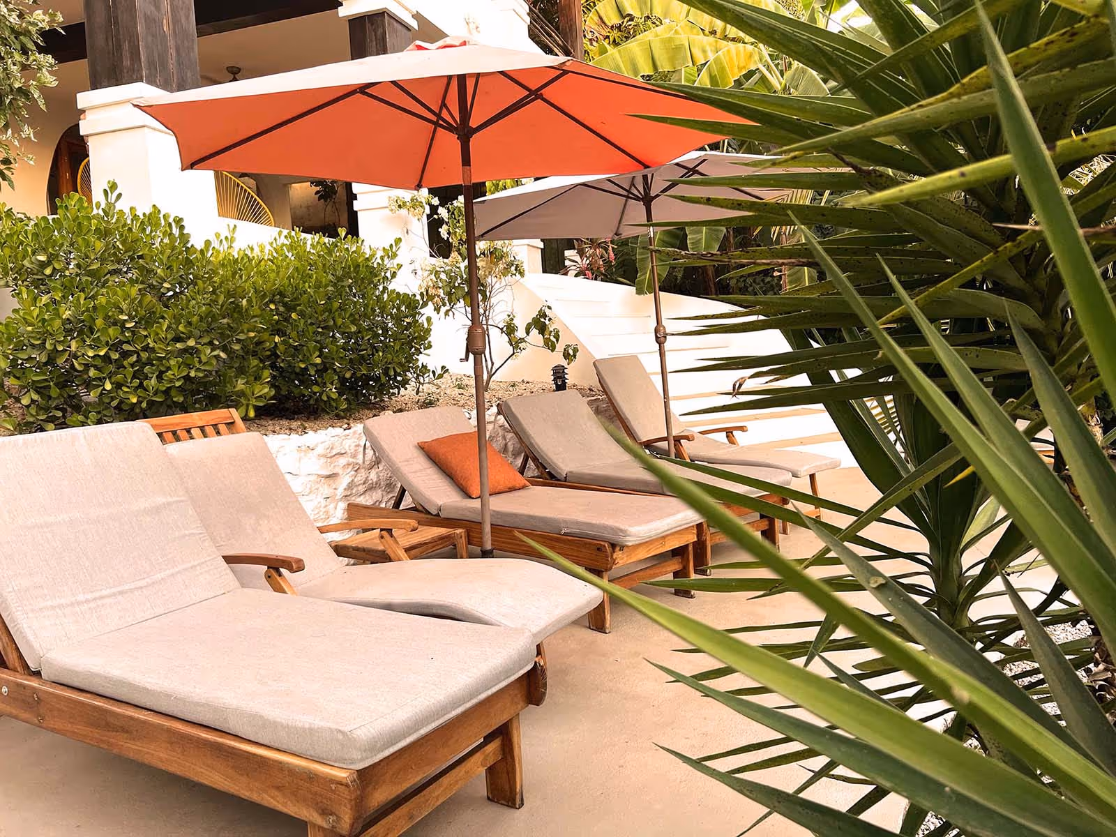 Palms and lounge chairs at Casas Kismet