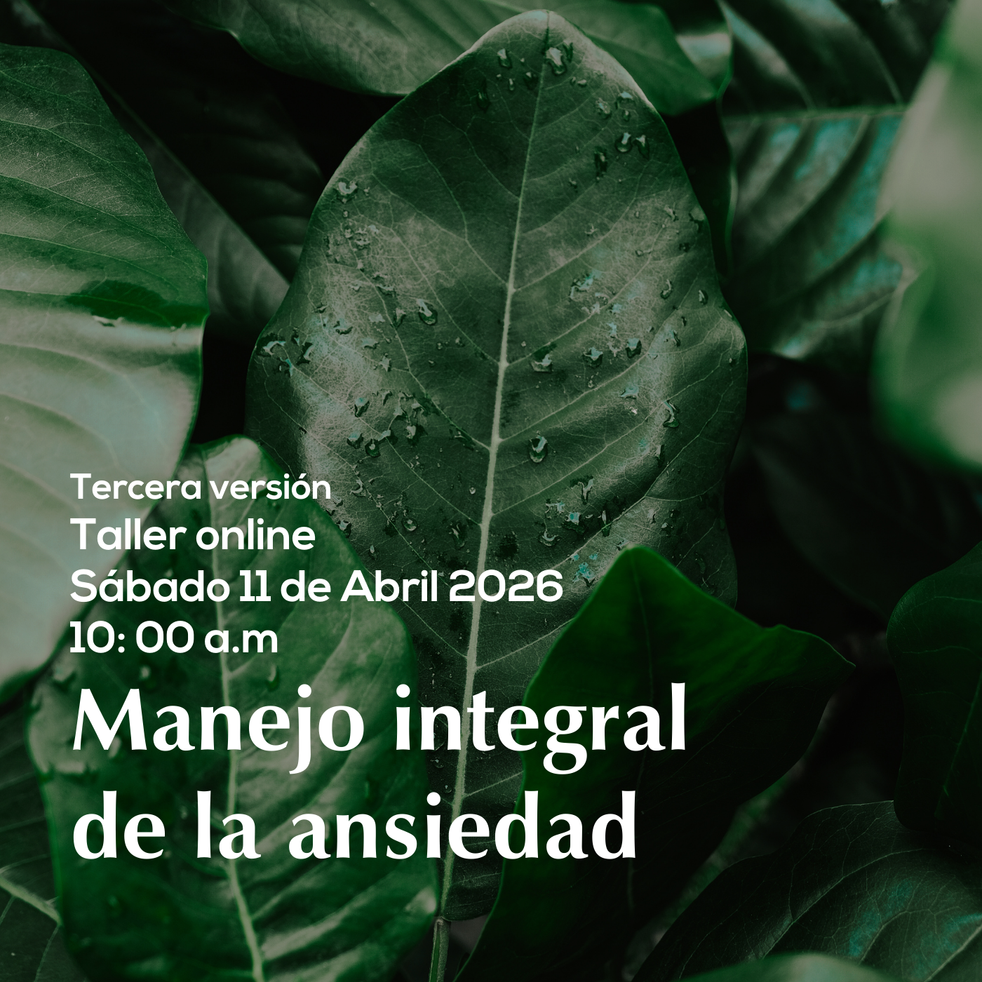 blog mediconsciente medicina integral todo vibra, pensamientos son frecuencias, palabras vibracion, emociones energia
