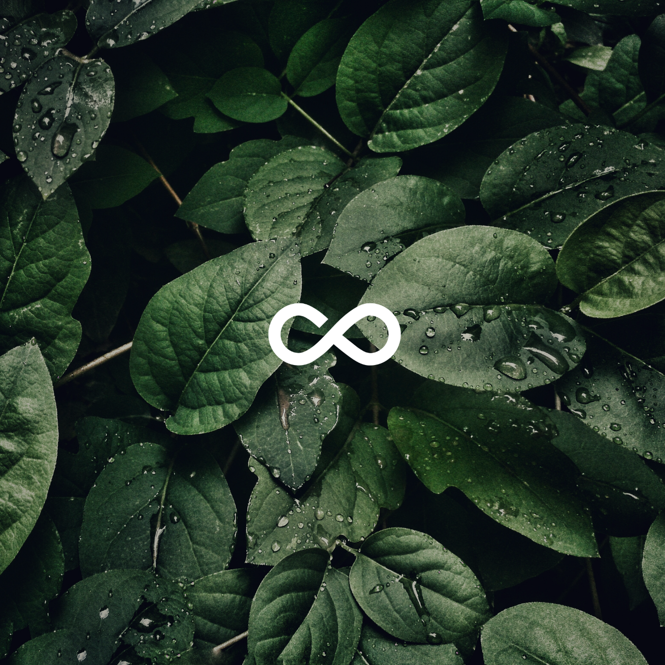 blog mediconsciente medicina integral todo vibra, pensamientos son frecuencias, palabras vibracion, emociones energia