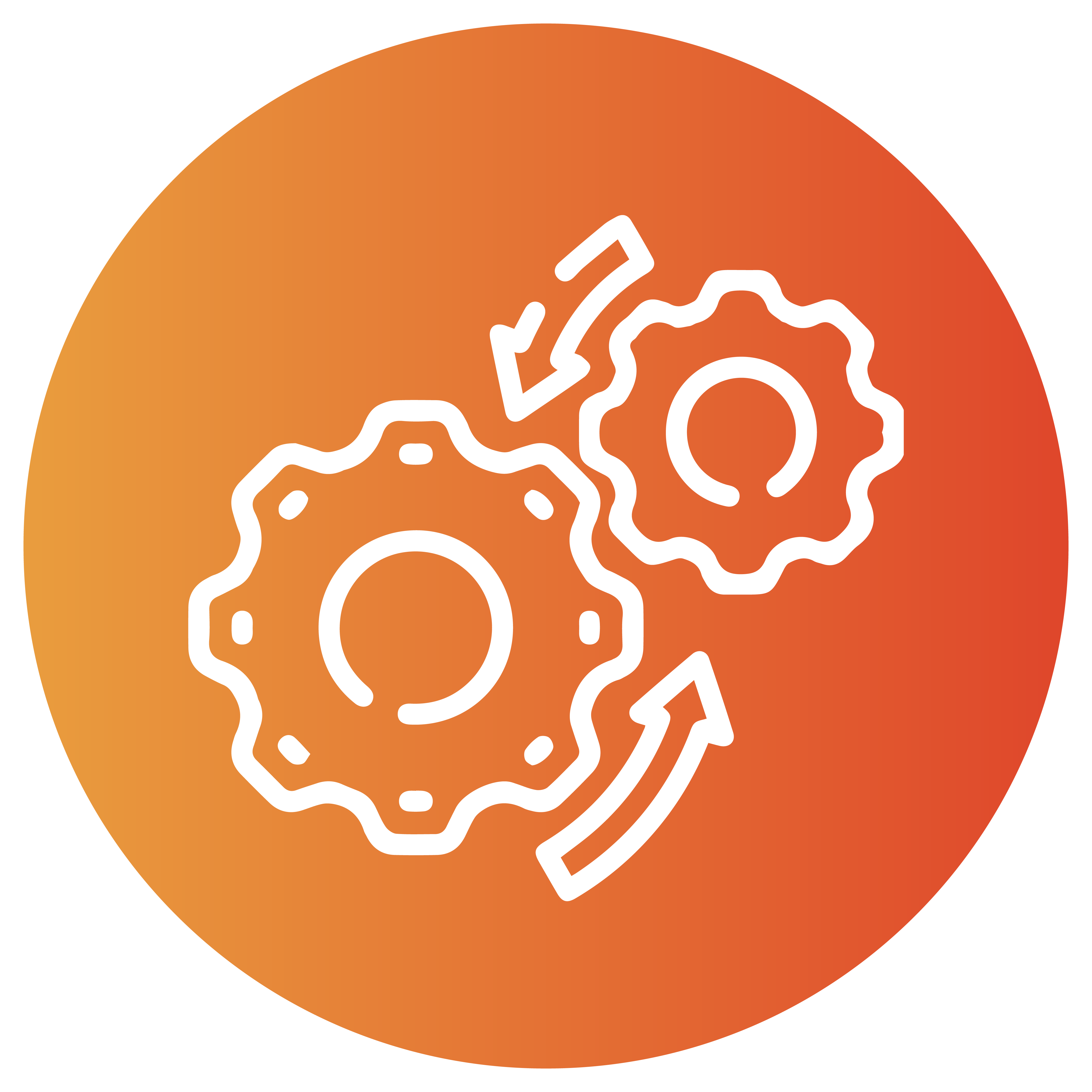 Tecbot Webflow Development South Africa