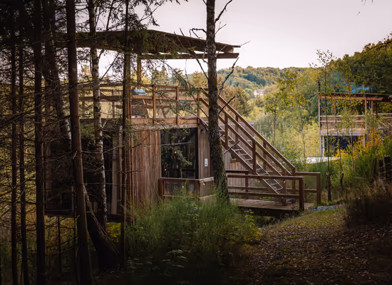 Canopy cabin in the woods in the Ardennes with rooftop terrace and a stunning view on nature