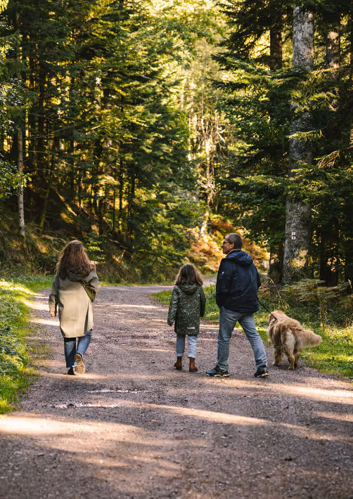Een vader en zijn 2 dochters wandelen met hun hond in het bos, een van de leukste activiteiten in de Ardennen in de herfst