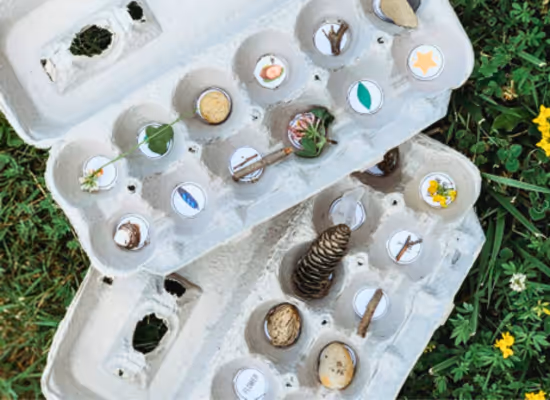 An decorated egg carton ready for a nature scavenger hunt, a good DIY idea for autumn
